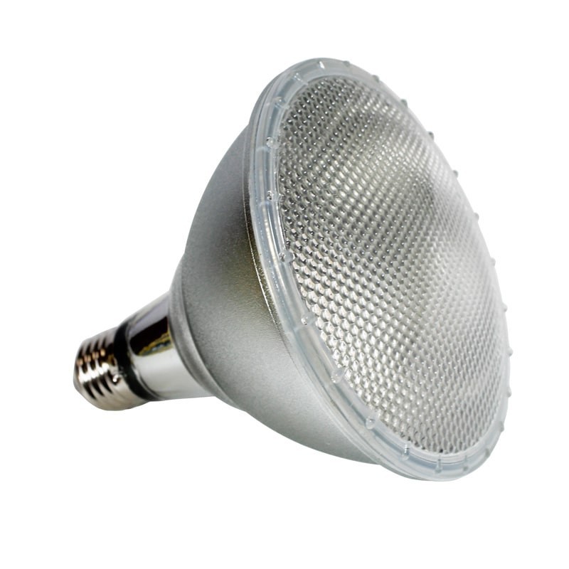 Ampoule LED PAR 38 12W IP65 pour extérieur