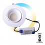 Spot LED circulaire orientable 38W - CCT - Driver LIFUD - Découpe Ø 170mm