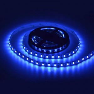 Acheter Neon LED - 5 mètres - Violet - LED 6 mm - 12V - Coupe 2,5 cm