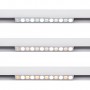 Luminaire linéaire sur rail 10W