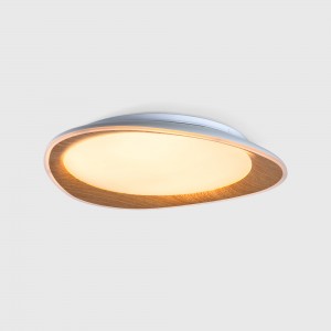 Plafonnier LED rond CCT 24W