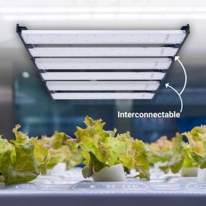 Raccordement du luminaire horticole LED