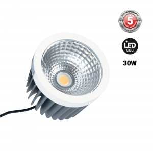 Module LED 30W QR111- CCT - Driver externe - 60° - IRC 90