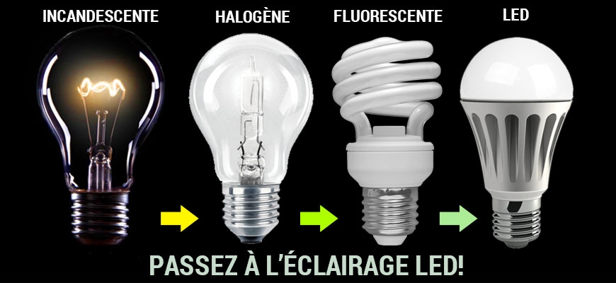 Remplacer l'halogène par la LED : économies d'énergie