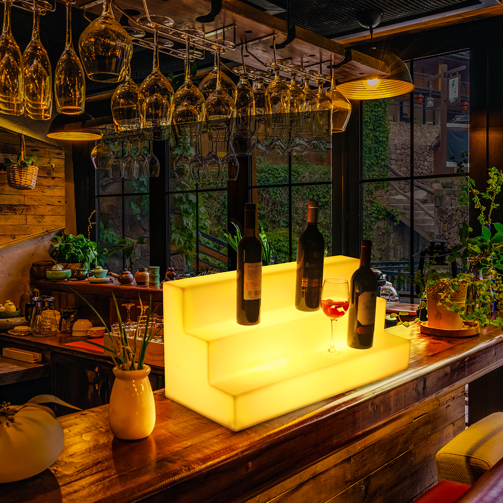 Présentoir et Étui à Bouteilles Lumineux LED pour Clubs, Bars – Mon  Enseigne Lumineuse